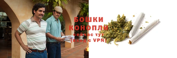 PSILOCYBIN Армянск