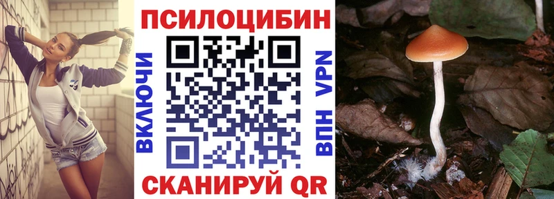 купить сайты Лебедянь Галлюциногенные грибы GOLDEN TEACHER